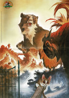 Zoo magazine n° 71/1