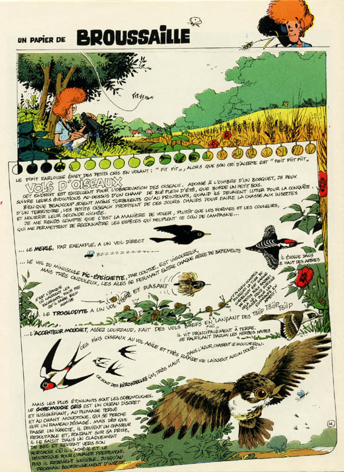 N° 16 - Vols d'oiseaux
