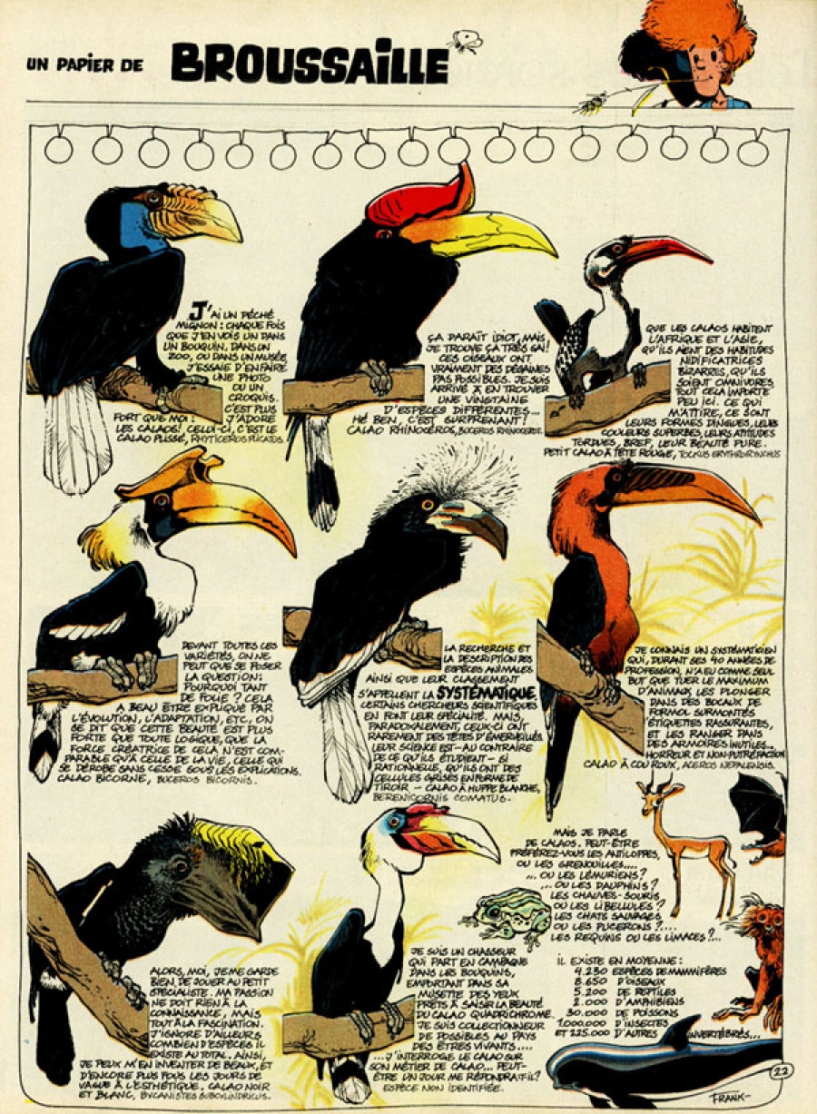 N° 22 - Becs d'oiseaux