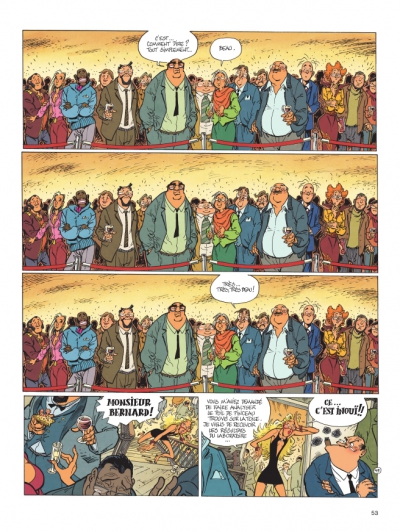 Planche 49 de la lumi&egrave;re de Born&eacute;o