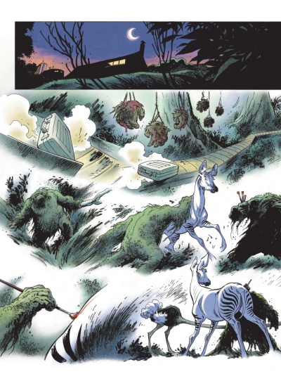 Planche 34 de la lumi&egrave;re de Born&eacute;o