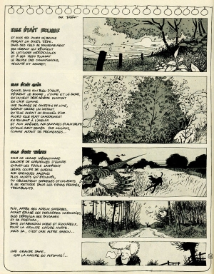 N&deg; 18 - Automne