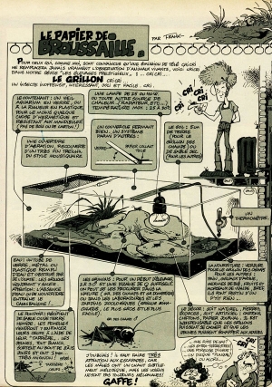 N&deg; 11 - Le grillon