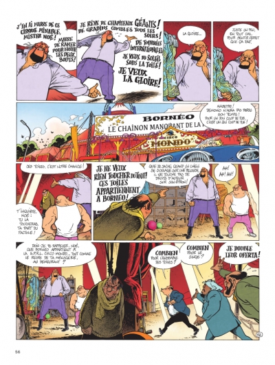 Planche 52 de la lumi&egrave;re de Born&eacute;o