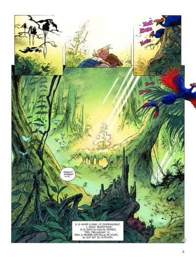 Planche 1 de la lumi&egrave;re de Born&eacute;o