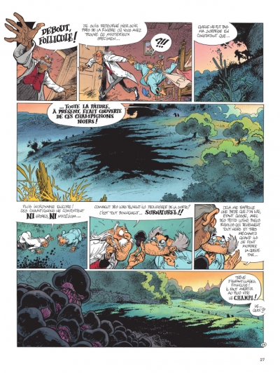 Planche 23 de la lumi&egrave;re de Born&eacute;o