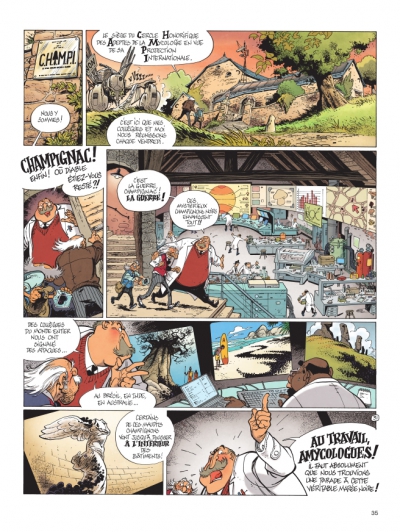 Planche 31 de la lumi&egrave;re de Born&eacute;o